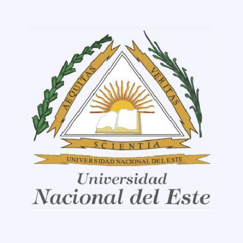 Universidad Nacional Del Este